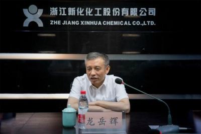 省税务局党委书记、副局长龙岳辉莅临公司调研
